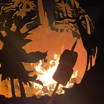 Activities - Clear Sky Resorts: Grand Canyon Lodging in AZ