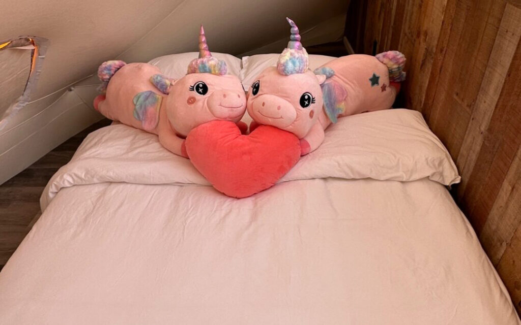 Unicorn-Dome-Decor Interior of pink unicorn themed lodging sky dome at Clear Sky Resorts in Valle, AZ